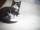 8 Wochen junger Maine Coon / Norweger Mix Kater